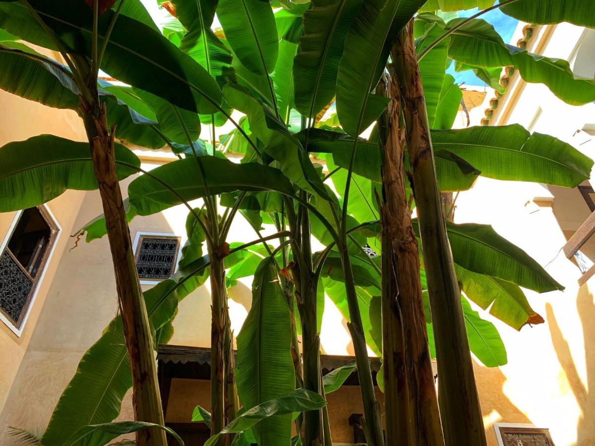 Riad Bamileke Marrakesh Luaran gambar