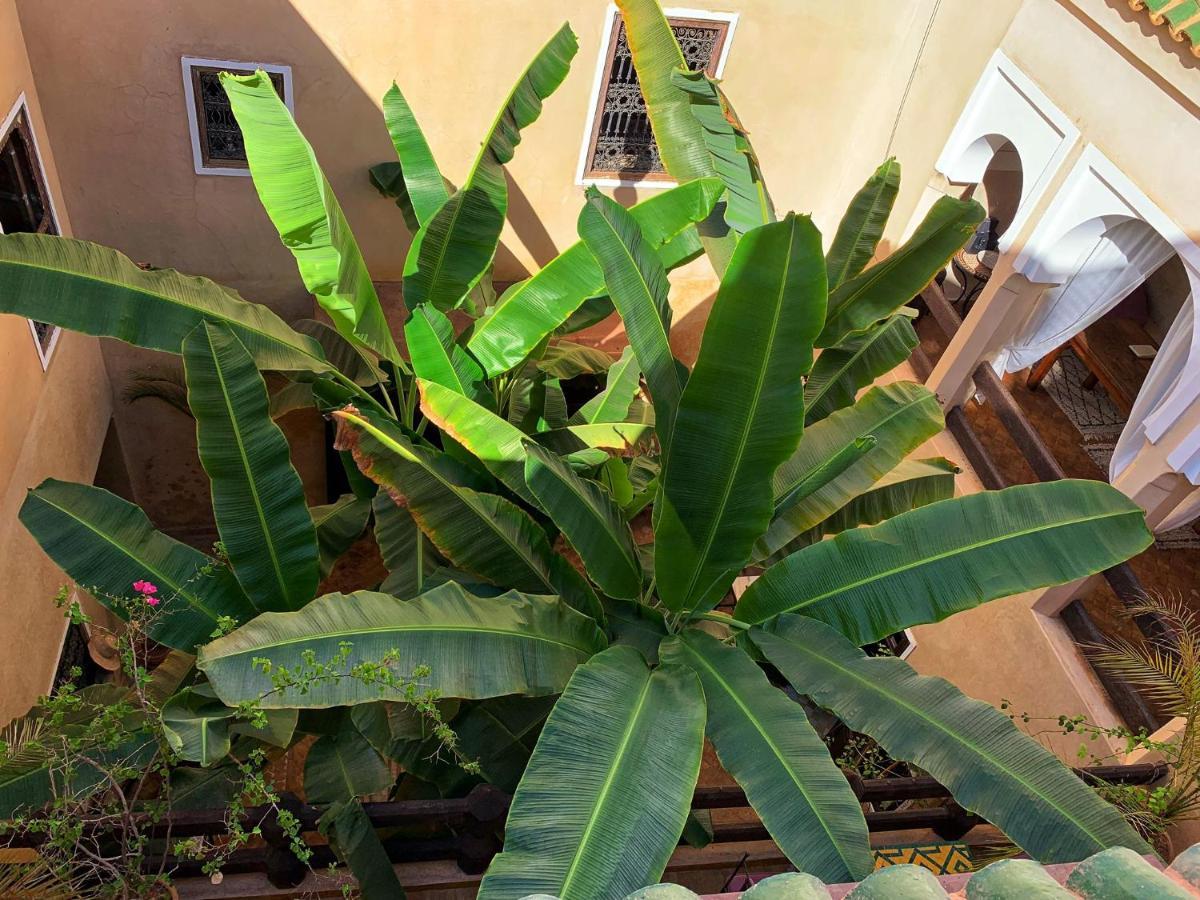 Riad Bamileke Marrakesh Luaran gambar