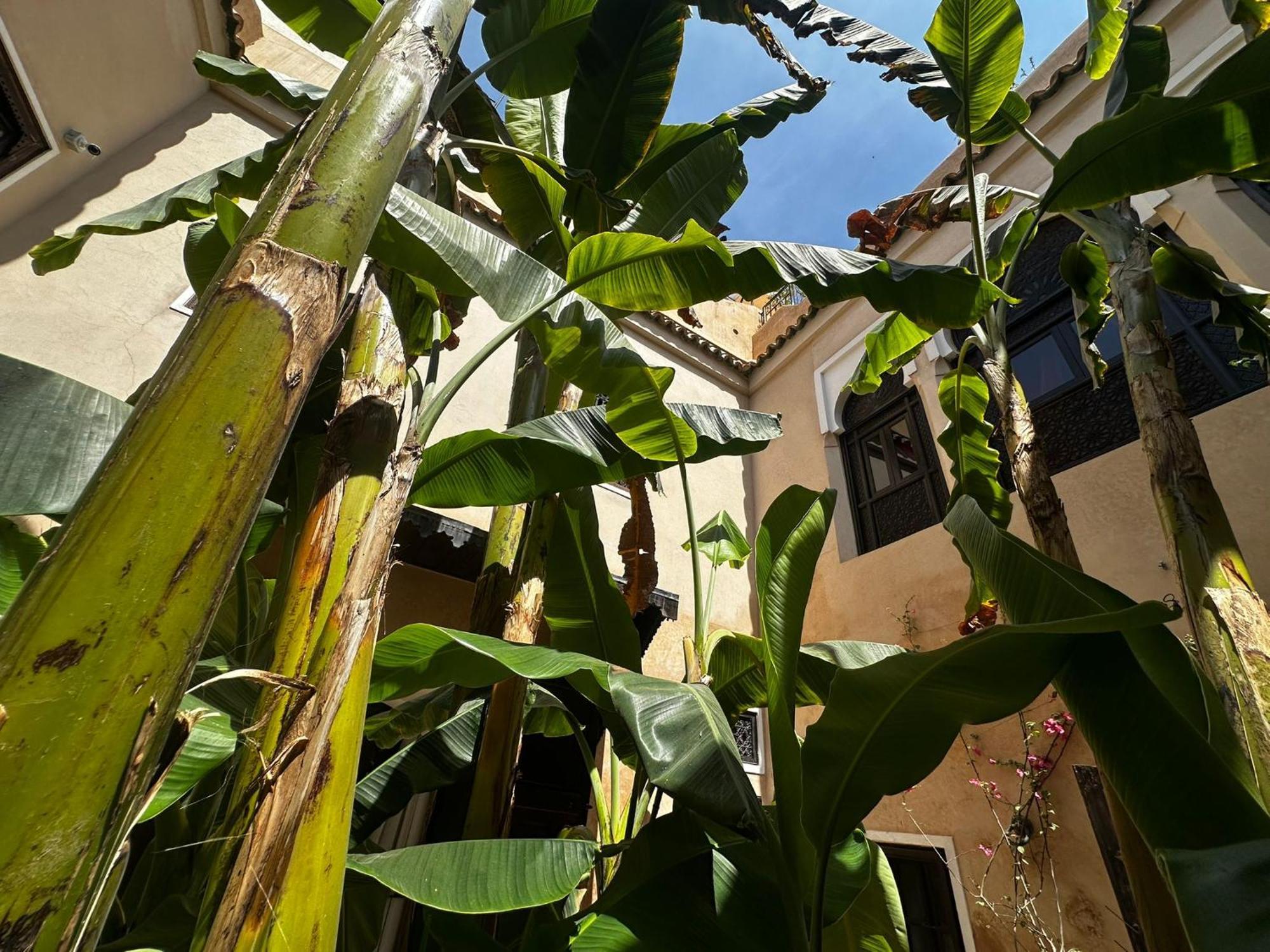 Riad Bamileke Marrakesh Luaran gambar